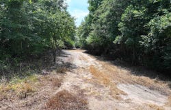 XXX HWY 70, Newhope, AR 71950