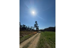 4941-3.29 Greene Rd 721, Paragould, AR 72450