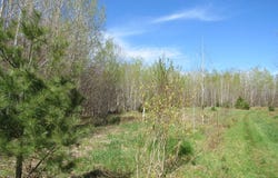 TBD  Rice Lake Road, Lake Linden, MI 49945