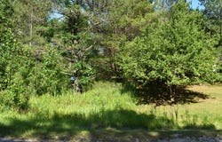 Lot 2 Knights, Gladwin, MI 48624
