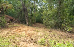 2705 Pilgrims Rest Road, Magnolia, MS 39652