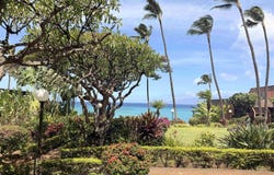3959 Lower Honoapiilani Rd, Lahaina, HI 96761