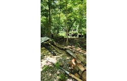506 Chigger Town Loop, Palmer, TN 37365