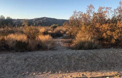 Pioneer Rd, Morongo Valley, CA 92256