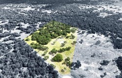 Tbd Starfall Drive, Lampasas, TX 76550