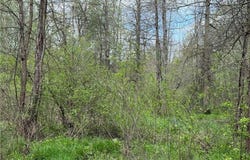 V/L Donley Road, Middlefield, OH 44062