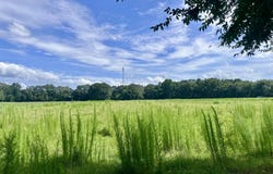 Lexington Road, Pickens, MS 39146