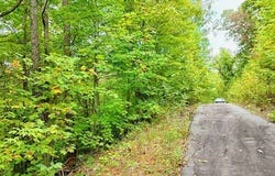 Skyview Drive lot: 28, Hayesville, NC 28904