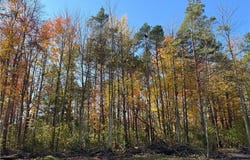 12056 Old State Road, Chardon, OH 44024