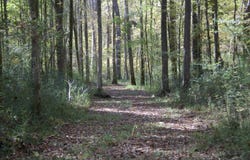 1761 CR-126 Rd, Walnut, MS 38683