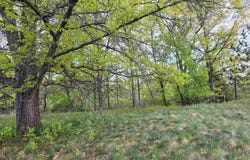 Cedar and 12th Street, Evart, MI 49631