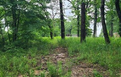 162 Indian Gap, Mabank, TX 75156