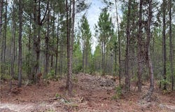 0 (lot 1) Corbitt Road, Manor, GA 31550