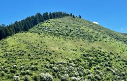 Lot 11 HADERLIE 5TH ADDITION, Afton, WY 83110