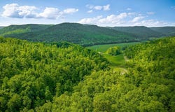 1687 Delk Creek Rd, Pall Mall, TN 38577