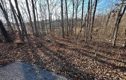 13 Wagon Creek Loop, Creal Springs, IL 62922