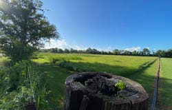 TBD Baudoin Rd, Maurice, LA 70555