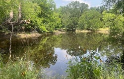 100 CR 186, Mullin, TX 76864