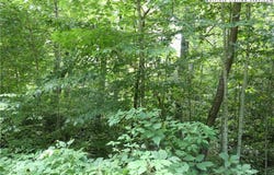 Lot 17 Farm Loop Road, Banner Elk, NC 28604