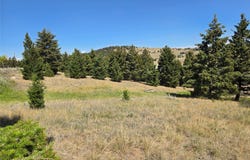Chalet Loop lot: 84, Butte, MT 59701