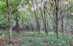161 Jay Barnett Rd, Jonesborough, TN 37659