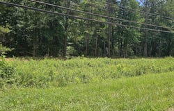 7737 HIGHWAY 75 lot: 1, PINSON, AL 35126
