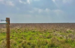 Tbd Tract 13 County Road 210, Eagle Lake, TX 77434