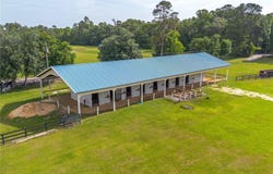 17350 NW 120TH AVENUE, REDDICK, FL 32686
