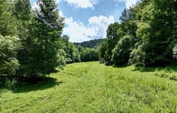1955 Old 61 Loop Road, Breeding, KY 42728