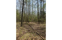 00 Bloomfield Road, Preston, MS 39354