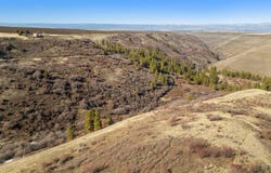 37607 Webb Ridge Road, Lapwai, ID 83540
