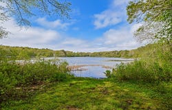 61 Bay Road, North Falmouth, MA 02556