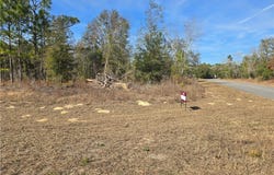 6597 N Bedstrow Boulevard, Citrus Springs, FL 34433