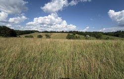 Lot #5 Anna Moore Road, Annville, KY 40402