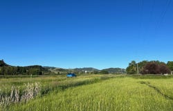 710 Osterman, Bozeman, MT 59715