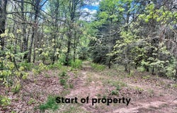 10701 Elizabeth Road, Greenville, MI 48838