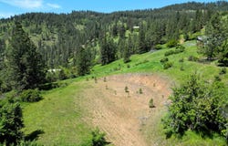 Tbd Adams Rd, Parcel D, Orofino, ID 83544