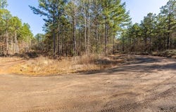 R28371 County Road 411, San Augustine, TX 75972
