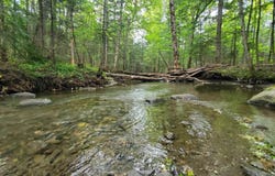 00 Brook Road, Chelsea, VT 05038