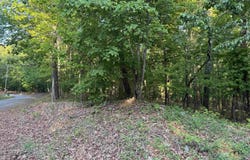 0 DAVIS ACRES DRIVE, ALPINE, AL 35014