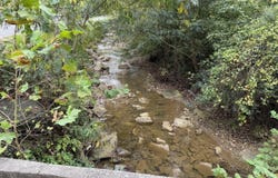 435 Simms Fork Road, Arjay, KY 40902