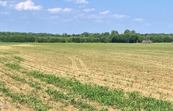 0 Hwy 100 & Vildo Road, Bolivar, TN 38008