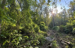 EDGEMONT Road, FREDERICK, MD 21702