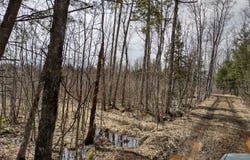 TBD Off Ohman Road, L'Anse, MI 49946