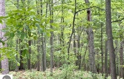 35 Brook Hill Cottages, Glen Arbor, MI 49636