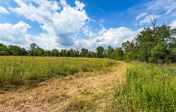 Wadsworth Rd., Wadsworth, OH 44281