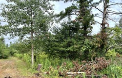 Maple Island Road, Nunica, MI 49448