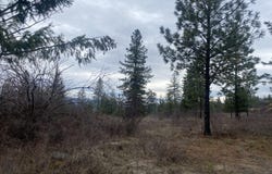 TRACT 2 COWBOYS AND ANGELS AVE, KETTLE FALLS, WA 99141