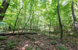 6910 Long Meadow Lane, Whitsett, NC 27377