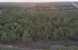 NE HIGHWAY 27 ALT, WILLISTON, FL 32696
